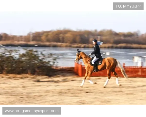 顶级马术赛跑中马匹状况成舆论焦点，动物福利话题被提上台面