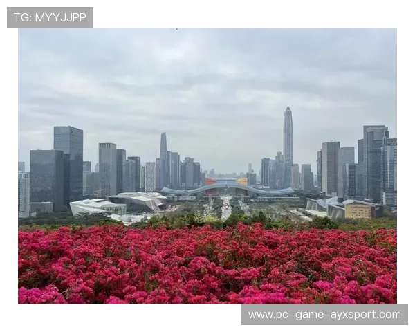 深圳新鹏城边路传中频频搅动禁区