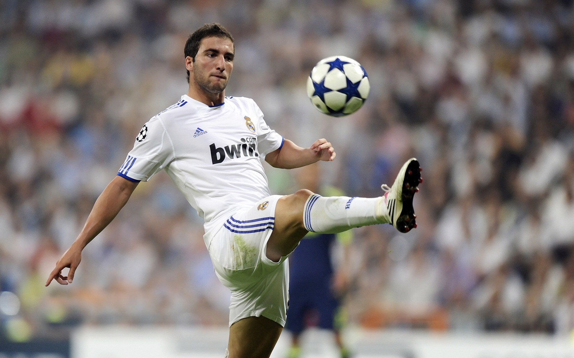 “德甲联赛逐渐展开高潮，球队状态火热”，德甲联赛集锦